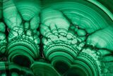 Polished Malachite Slab - Congo #193306-1